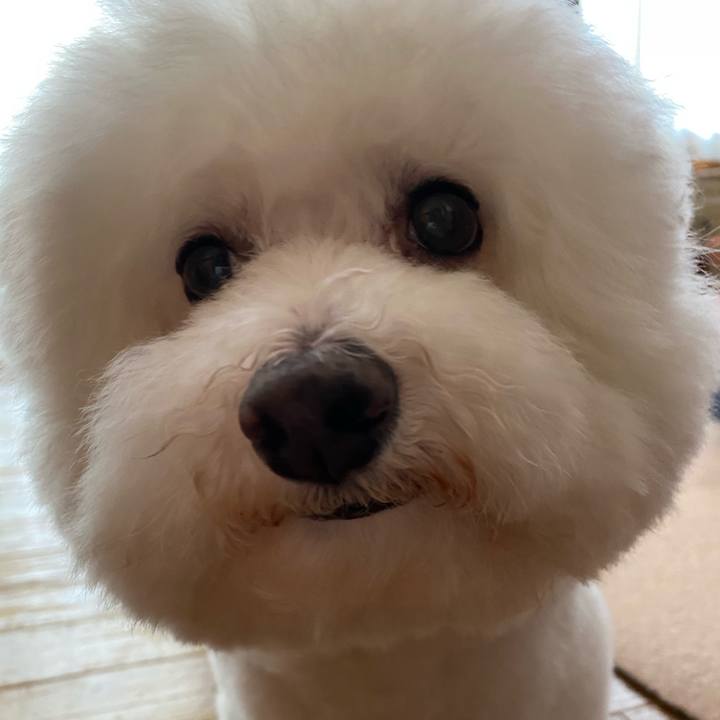 F48ba5fd 19f3 44a7 887d 44875d955042 1623297708428