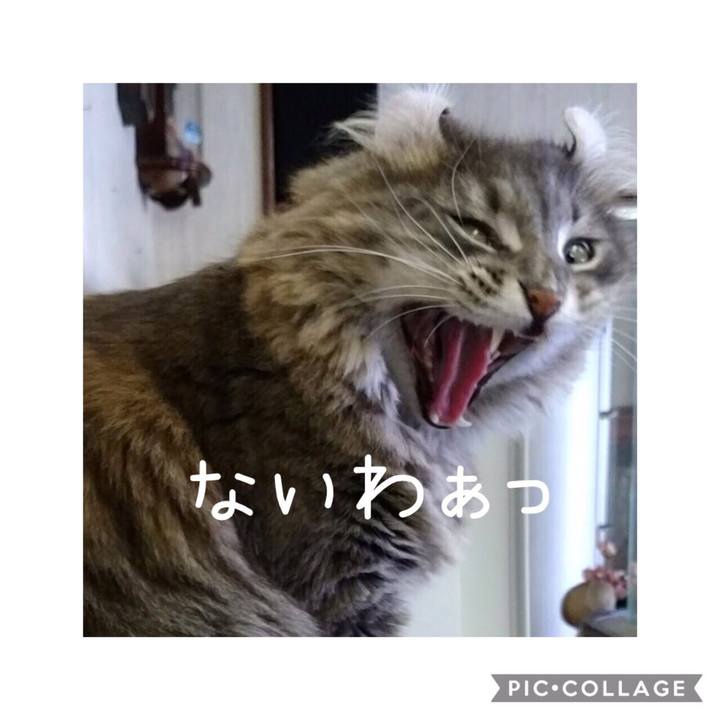 F48ba7bd 0fd5 43d8 91e8 3c0e7eb467df 1567041997272