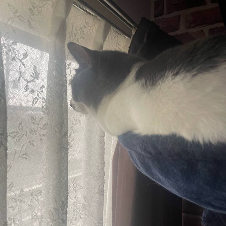 F48bcad9 1e05 4346 b0bc 2ce9442a5ac1 1692836131750