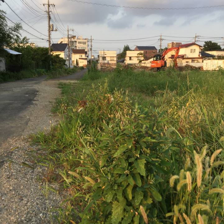 F48bd15b 4957 4843 aec5 521dba7a4b4b 1596619233367