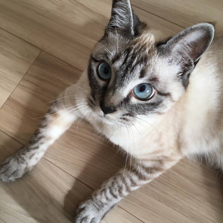 F48bf0a3 29cc 4f29 91c4 37acbfb29243 1557354415852