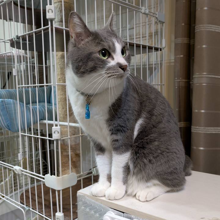 F48bfd99 2ff2 4861 b70e f116a079ab12 1746959770478