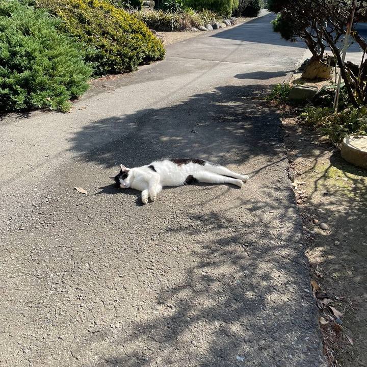 F48c2d30 8996 4063 9703 d74bf54ca067 1636375008017