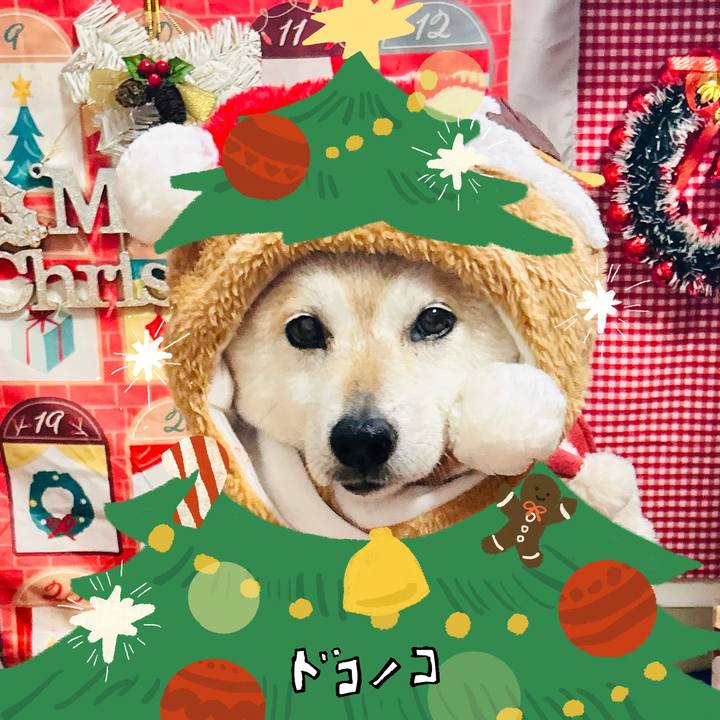 F48c4063 7ae2 4091 b747 4bc4d7657f06 1761128854447