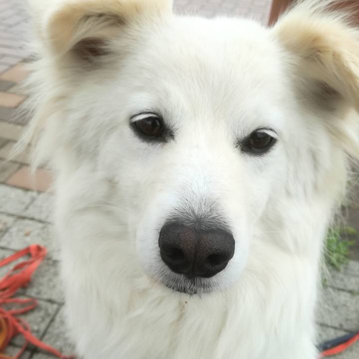 F48c98f1 720a 46be 880a 161806776e9d 1523922159914