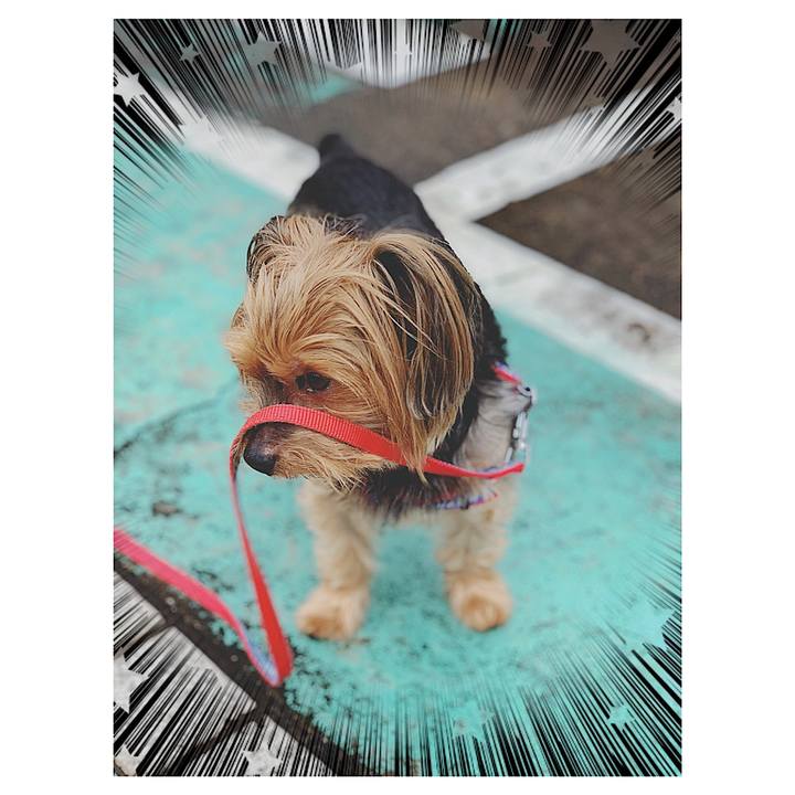 F48cb2e3 81c2 474c ac1c 48eb656d639b 1596232819681