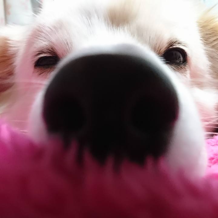 F48cb3ee 1db7 4fcd aea7 c7242e35e0ff 1515614284492