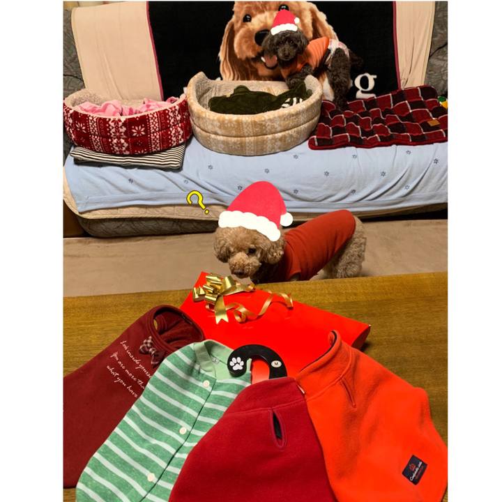 F48cbd93 7f71 4b81 bae8 d39e6aee38a4 1577007855981