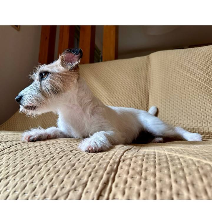 F48ccbb8 aea3 4259 b4cd 8d01a40bbd30 1719932748580