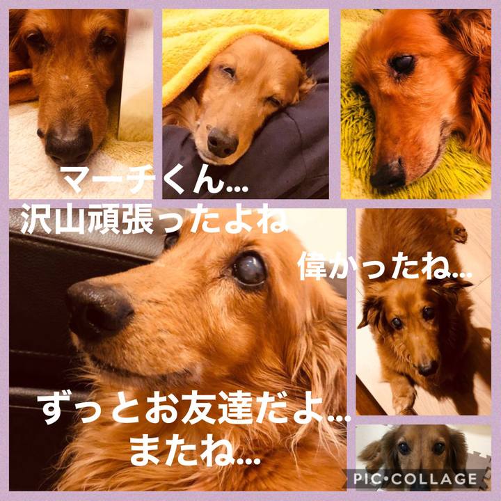 F48cdbf2 59c7 400a b9e1 1272d4f9e915 1585024180871