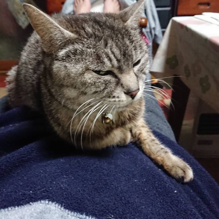 F48d00d7 4beb 41c7 ab1d cf35f8fdbb1a 1555323109339