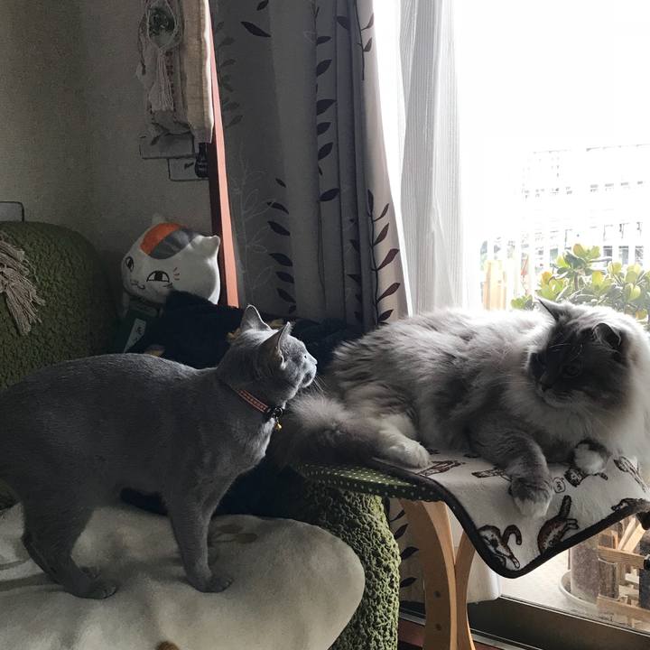 F48d07ec 2374 4cff 8020 4c53827260db 1517748048450