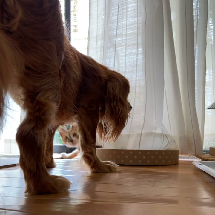 F48d0ac1 3572 47f7 a9c7 a8f8d3501664 1659758249617