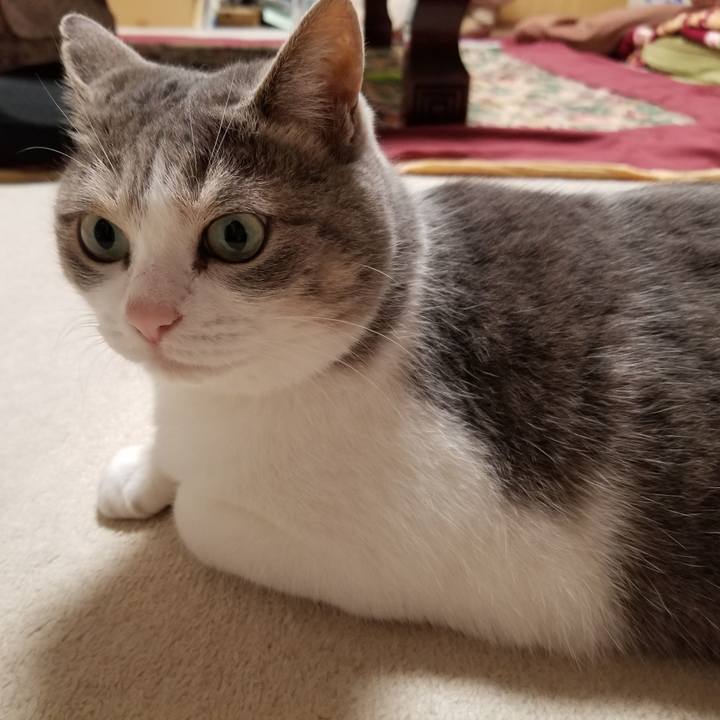 F48d27b1 5eef 4707 85fb 9351f5575a33 1657985050364