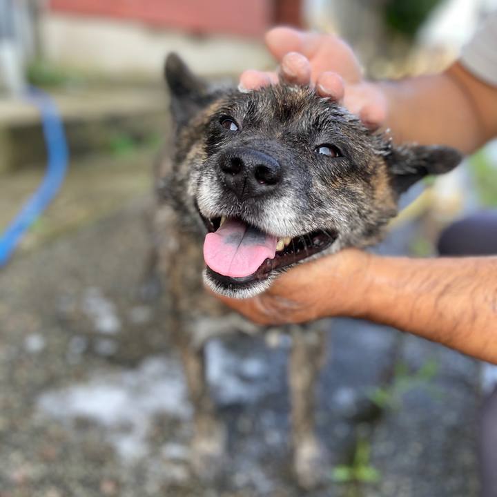 F48d5933 ab26 40ef 93de 3f2948886901 1597012626409