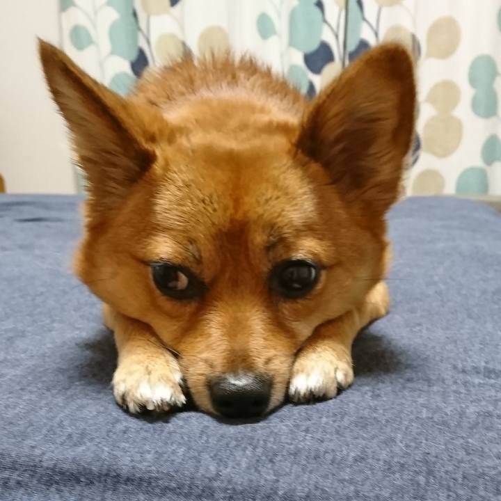 F48dda3f 7ba5 479e ad30 7b9f81001395 1526658937632