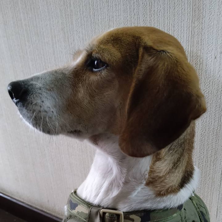 F48dda77 02c7 4f91 b07d 475965ac4198 1671354055461