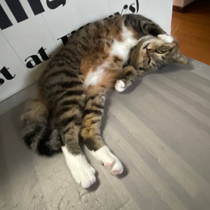 F48df99a ea90 4a0e 920d 8fef52365140 1621328754247