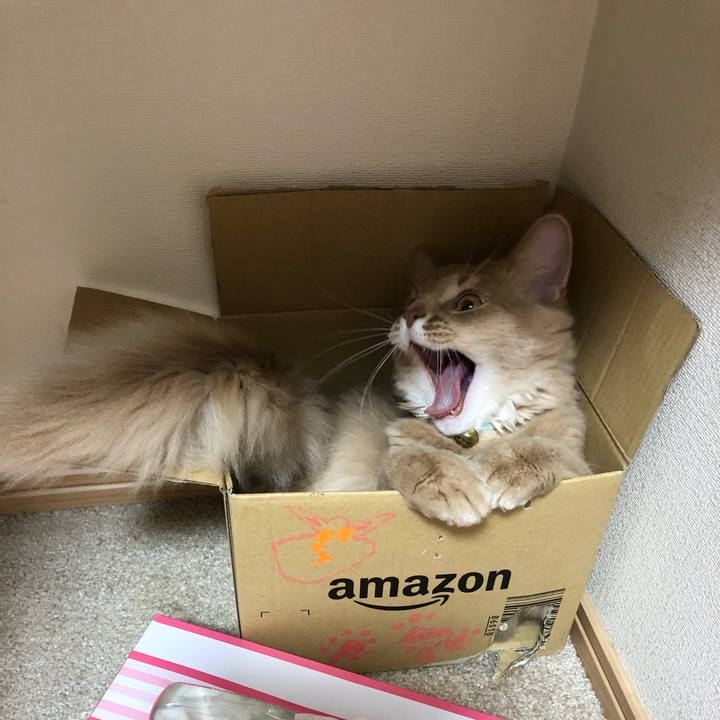 F48e00e8 5685 4b4d a245 bf0e16344b6a 1555282864644