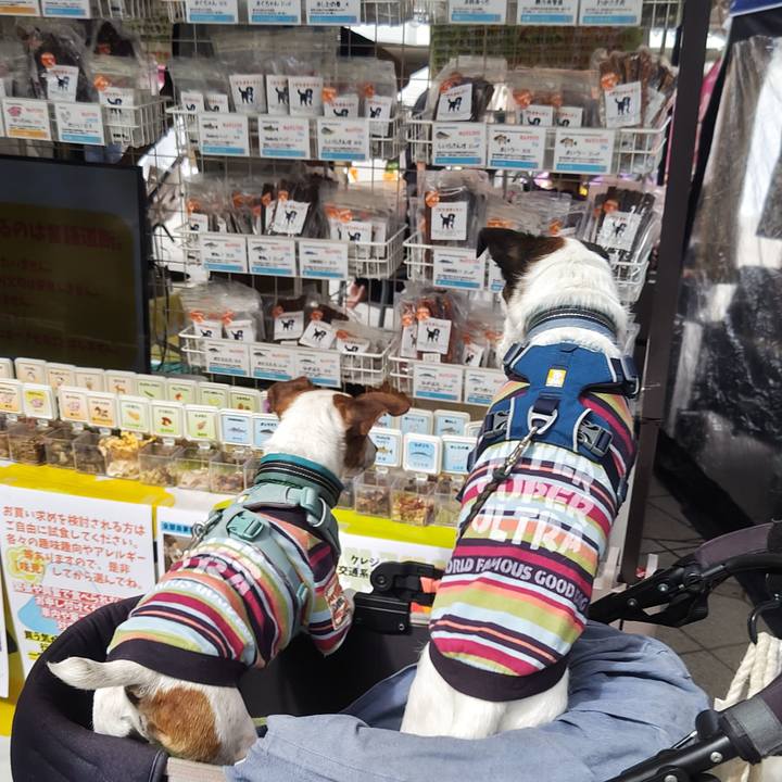 F48ea524 ca60 4d4a ba61 1fe744e0abe5 1760245368590