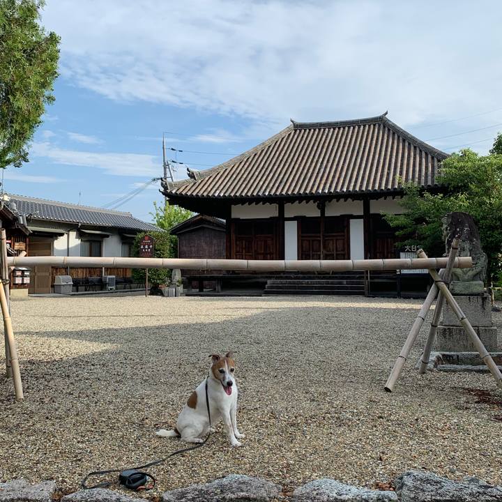 F48ebf8f ae75 4b3f 9bdf 137d45e50a9a 1593126207878