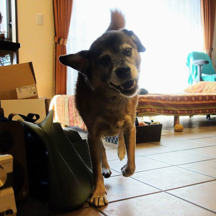 F48ec19d 71f7 4cab 9842 4bb669bdb51f 1538875790085