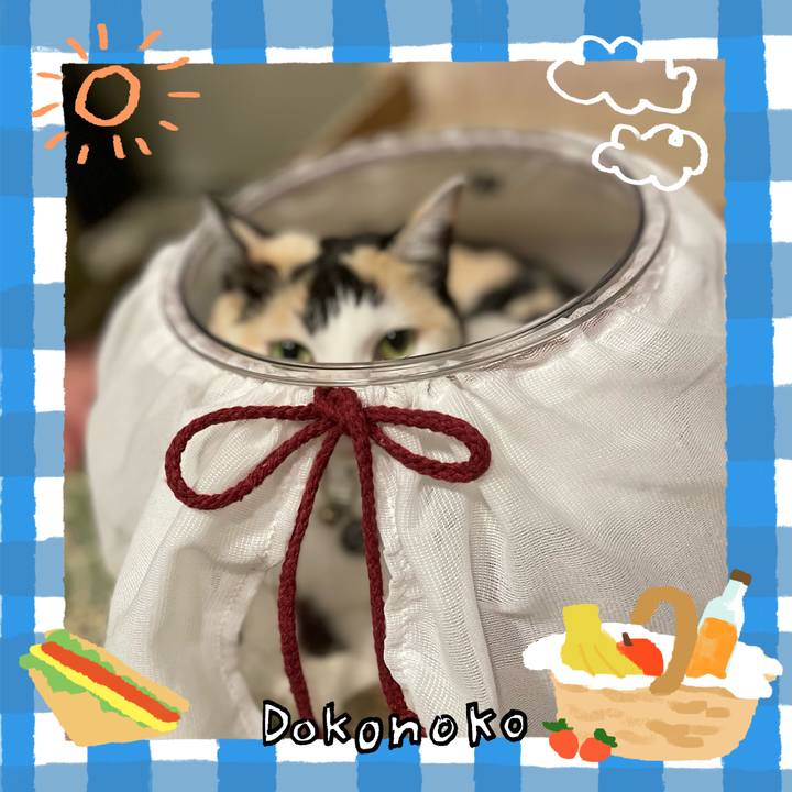 F48f000c 067c 4e97 98f3 cd0a60f3ab05 1744349347448