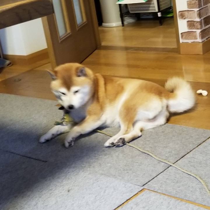 F48f0263 f9d8 466b b3bb 63743829640b 1638848347770