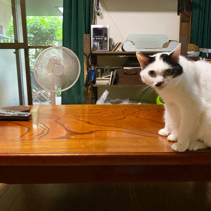 F48f2b43 d82b 4a91 bdf8 97b9edeafa2f 1720658655646