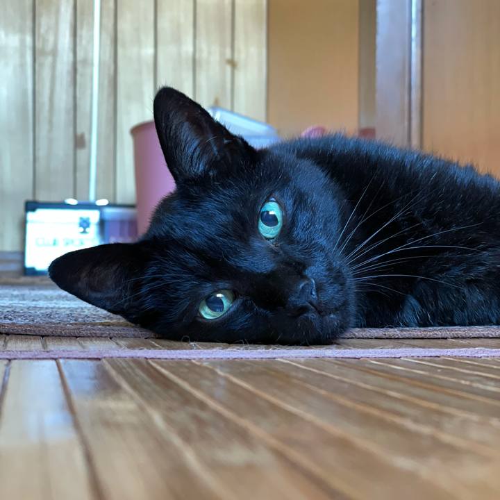 F48f2caa 4033 4719 a54c a5c7121256f4 1630026366294