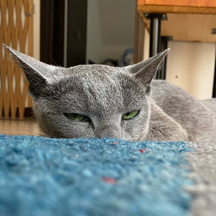 F48f4aae c13a 4347 8807 08dabf2eaa4c 1591455530605