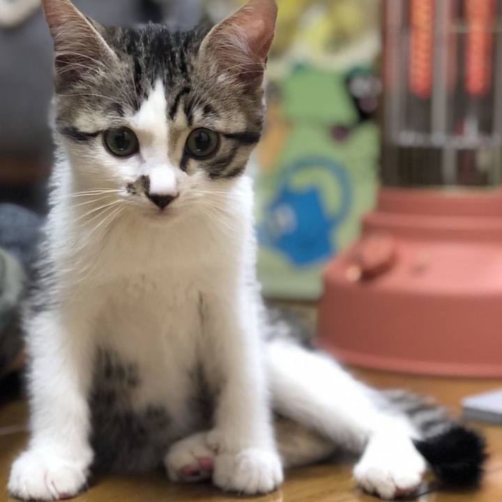 F48f6369 f3fd 46d0 b0d6 20d6b0f2386d 1606616390873