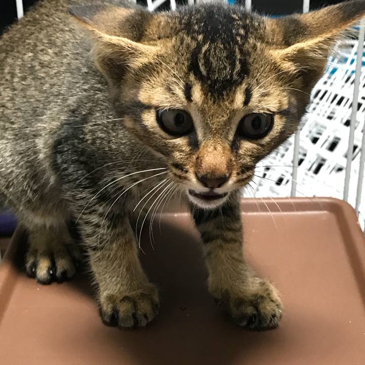 F48fb9f4 6428 4889 9d8e 05f5dd27759b 1531755681450