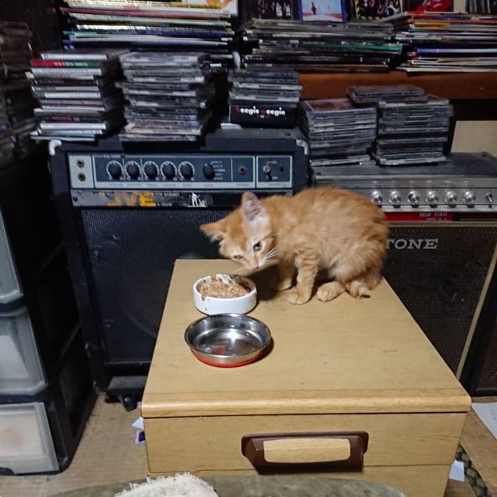 F48fc996 9f8a 43c3 a803 f3c1c6120f9b 1629893197411