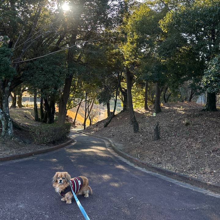 F48fcc41 efd6 4852 93bf 57dff5933614 1703895824715