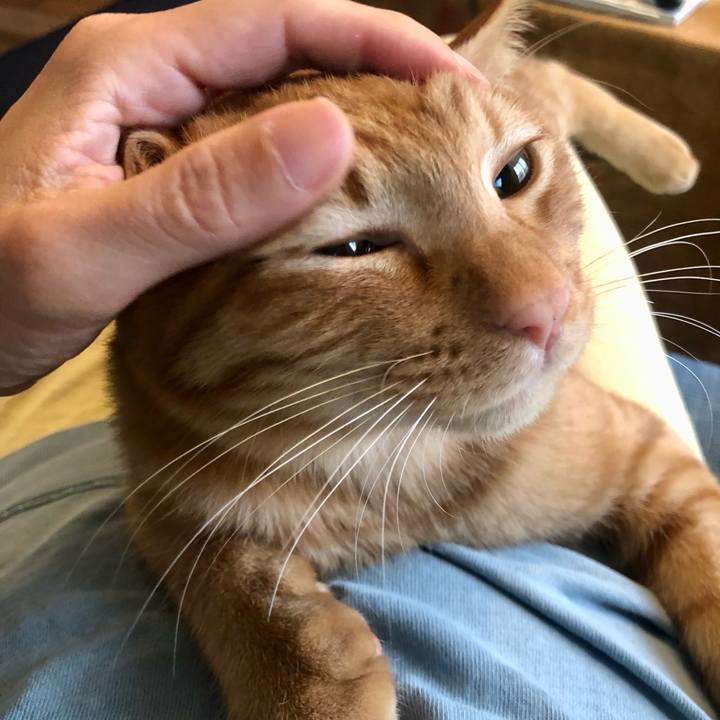 F48fdc57 680d 4038 95fd 8bf2f437eb29 1730068913177