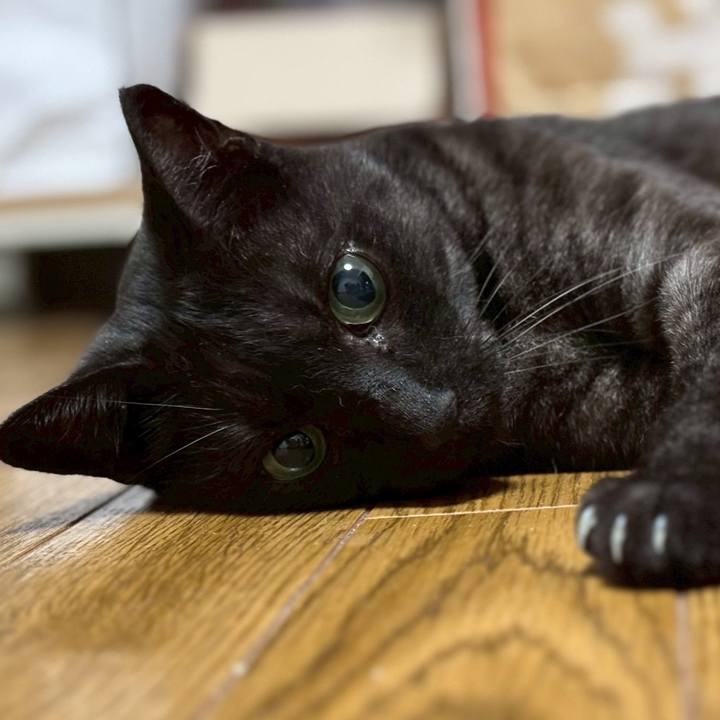 F4900bf7 6515 4637 a097 f51e9a7fd2f4 1756683302508