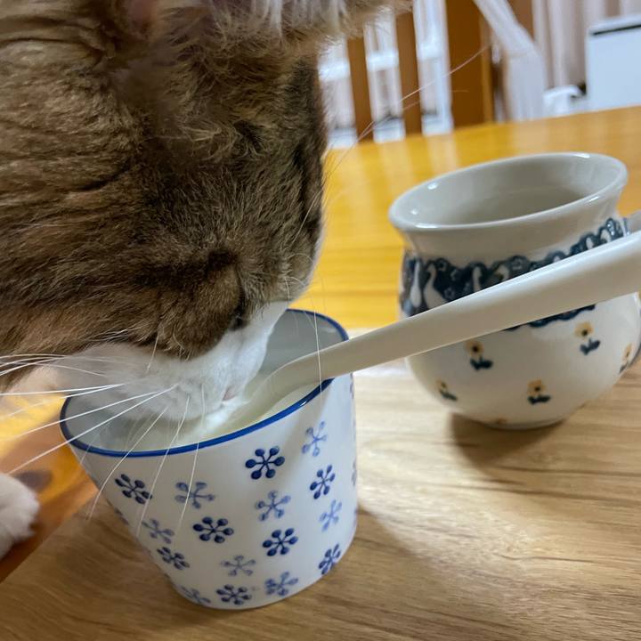 F4904b6a a0ce 4616 9d4c 0a45baea8330 1671050726080