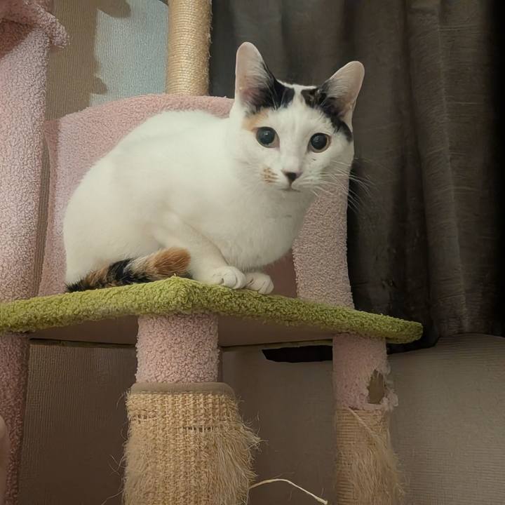 F49054b6 8224 42b7 82ff a7658c054a8a 1767974920302