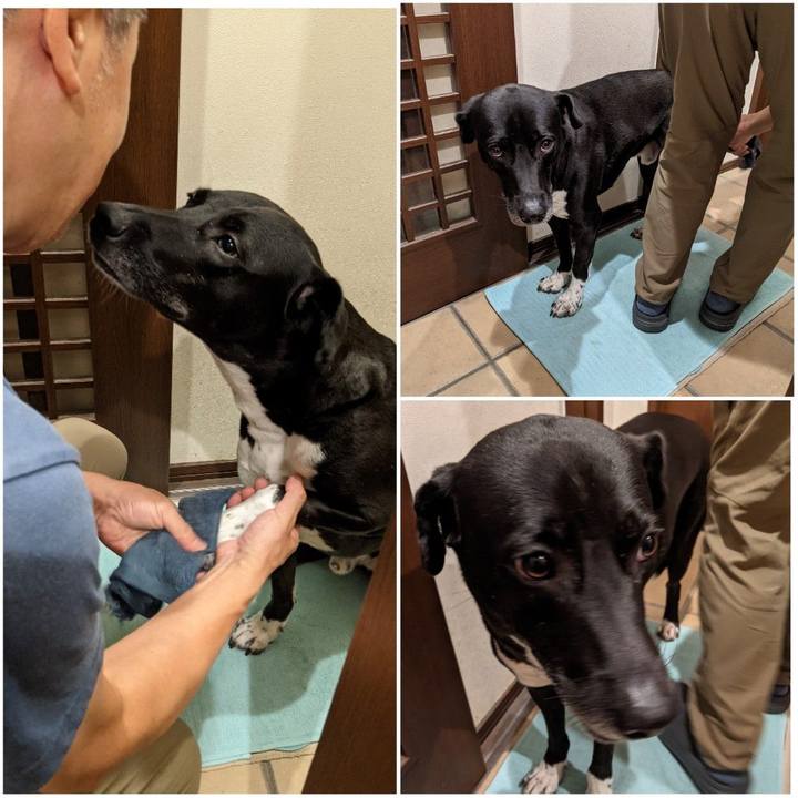 F49090e9 f18c 498c 95c6 64013d028510 1631702739716