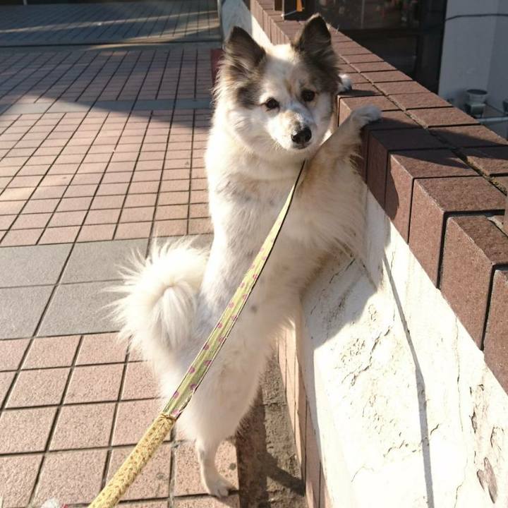 F490c462 d70d 4e76 9445 f9468f0a95d6 1549891771509