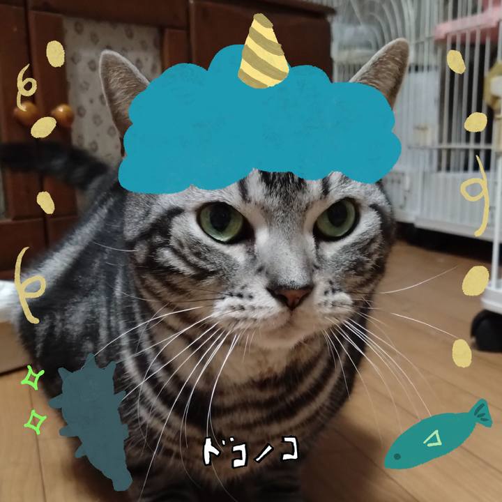F490c8b5 d56b 4fa0 a24f d559d3c18768 1706967488712
