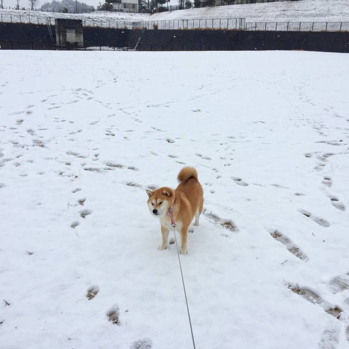 F490eda9 1ac7 41b1 b2be 727e8e67e9d8 1517543799101