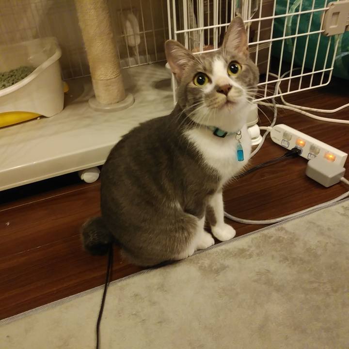 F490fefc c596 4e0f a0a6 b8344ebe276c 1594821452385