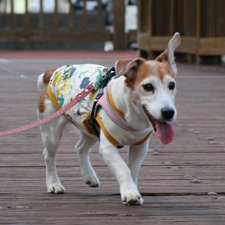 F49114fa 0e68 4eac 9e7c ef1ecc94cce6 1619182232921