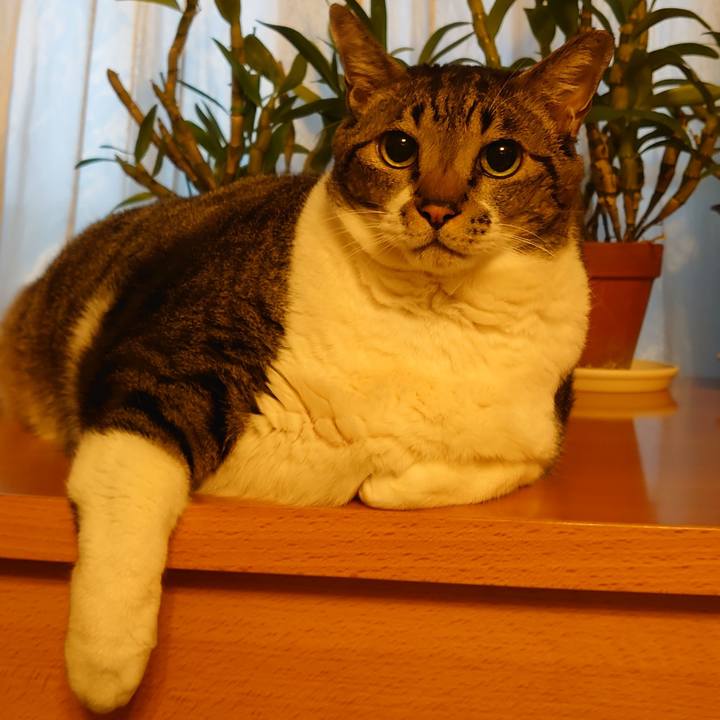 F4915540 e96f 4f95 9ac5 c2e414ecdb1d 1639049011509