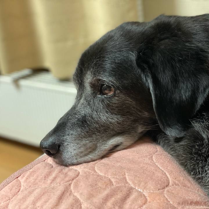 F4917daa 083b 4b0f 8557 0c96541c99d2 1763380265921