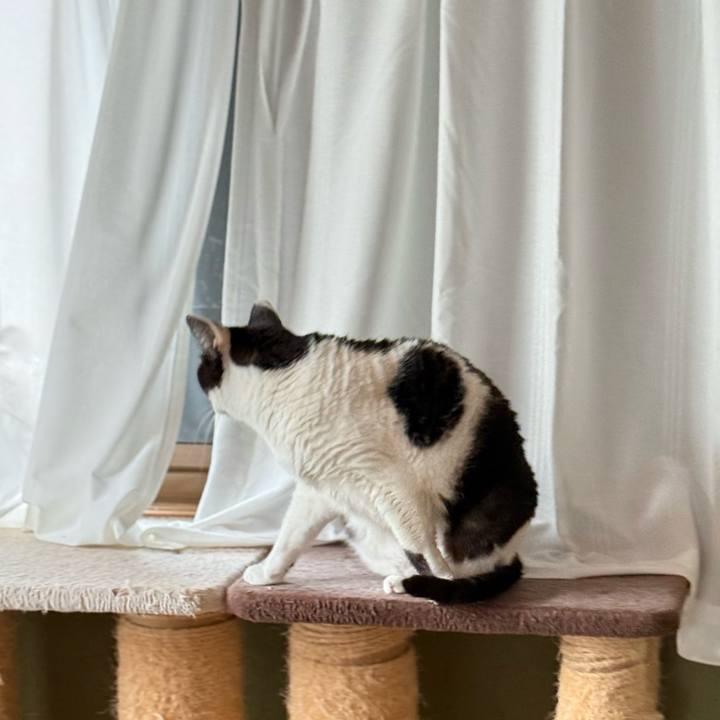 F4919d8f 3a7a 4de6 8614 3b60cccd5e99 1735258179257