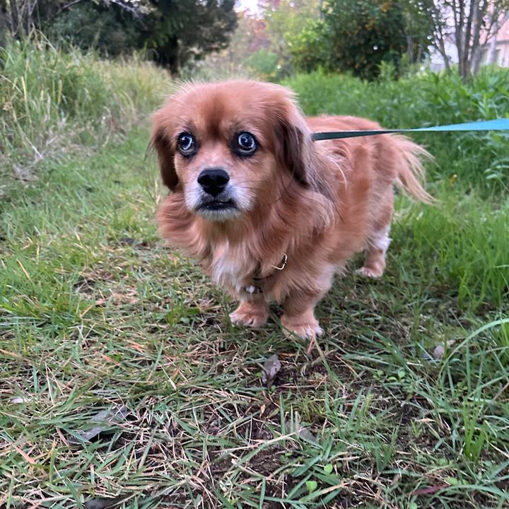 F491a7b4 abfd 4839 9b7f 73f7db33b46b 1698356719403