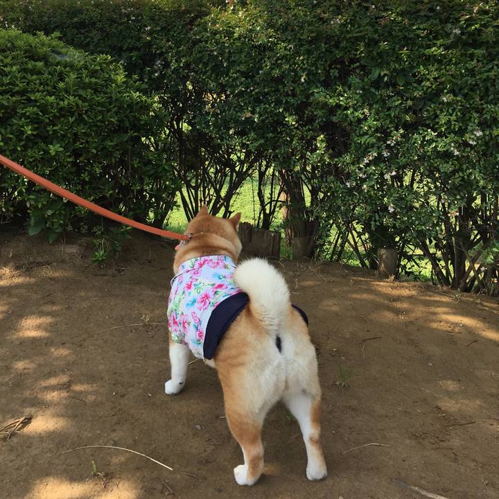 F491e064 f40d 42aa 825b c262d4a2f37b 1565481885532